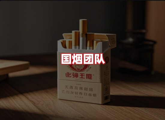 国烟团队